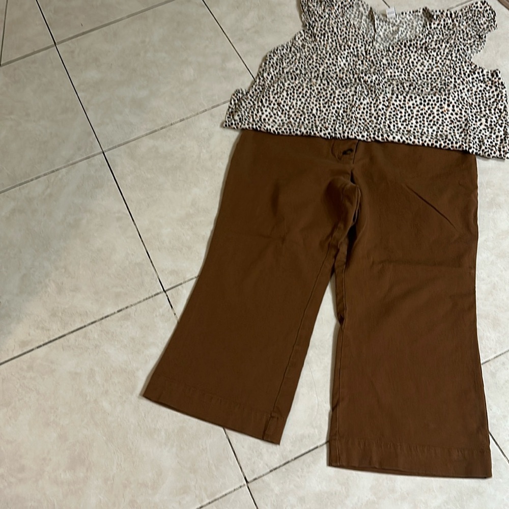 Ann Taylor pants